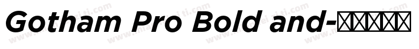 Gotham Pro Bold and字体转换